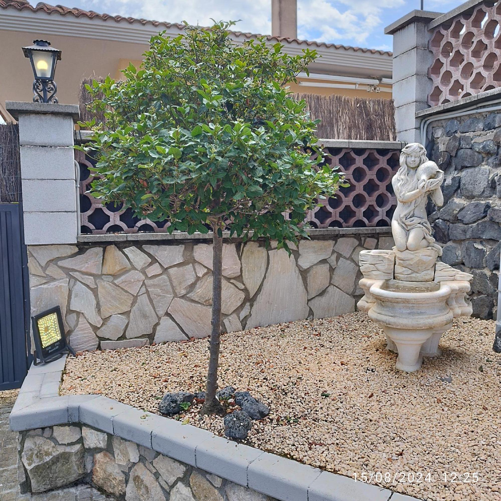 Villa La Biznaga Fogás de Tordera Exterior foto